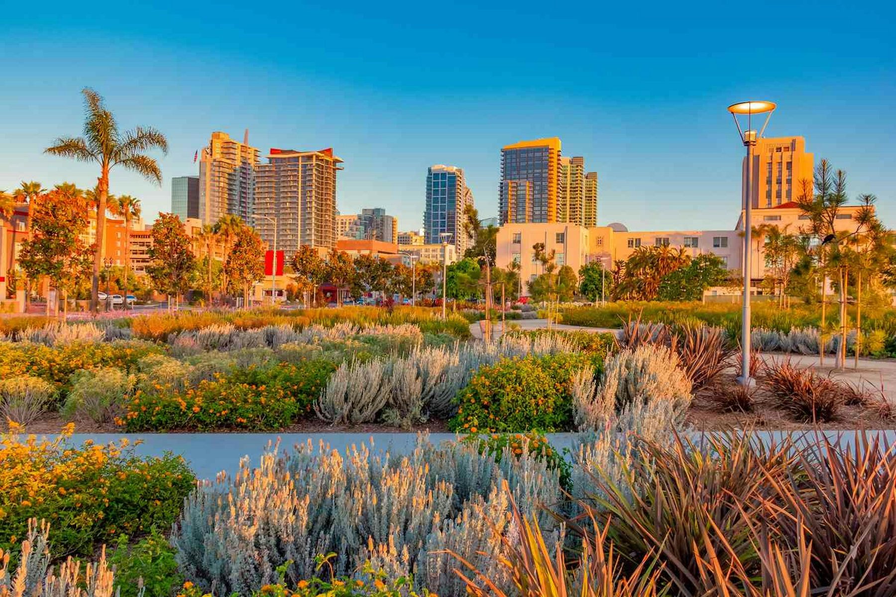 San Diego California Cityscape — Camp ROYAL