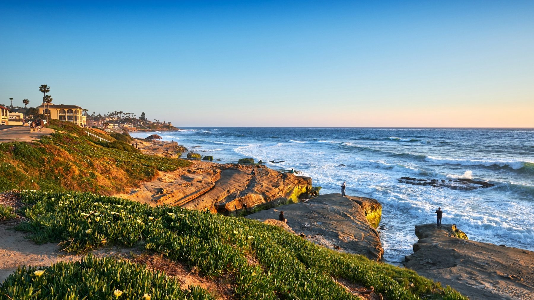 Windansea Beach San Diego California — Camp ROYAL